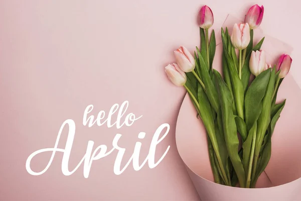 Top view of tulips wrapped in paper on pink background, hello April illustration — Stock Photo