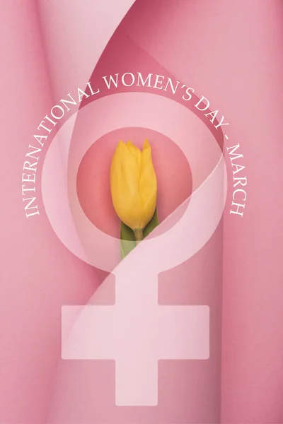 Top view of yellow tulip wrapped in paper swirl on pink background, international womens day illustration — Stock Photo