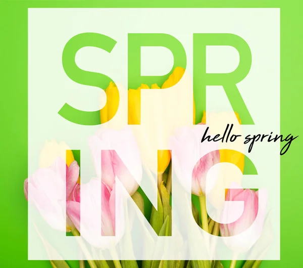 Vista superior de tulipas rosa e amarela sobre fundo verde, ilustração primavera — Fotografia de Stock