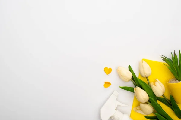 Top view of spring tulips and green plant near yellow cleaning supplies and hearts on white background — Stock Photo