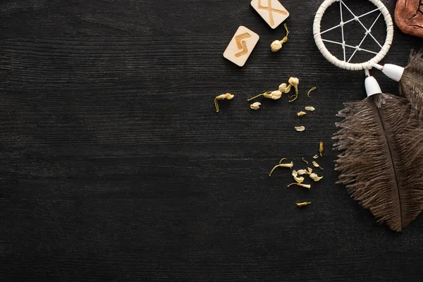 Top view of shamanic dreamcatcher, dry flowers and runes with signs on dark wooden surface — Stock Photo