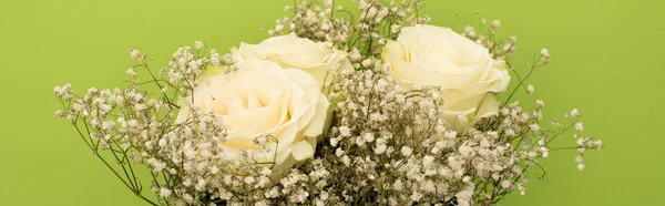 Top view of fresh bouquet of flowers isolated on green, panoramic shot — Stock Photo
