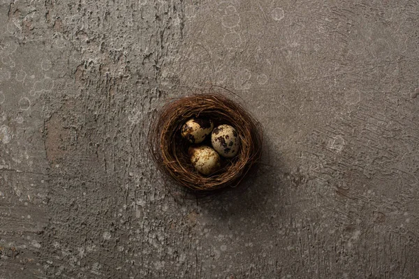 Ansicht von oben Wachteleier im Nest auf grau strukturiertem Hintergrund — Stockfoto