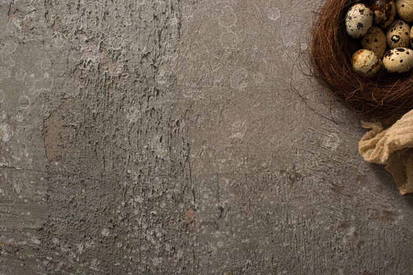 Vue de dessus des œufs de caille dans le nid et gaze brune sur fond de béton gris — Photo de stock