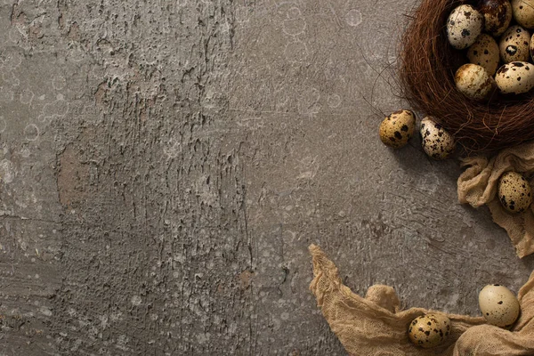 Top view of quail eggs in nest and on brown gauze on grey textured background — Stock Photo