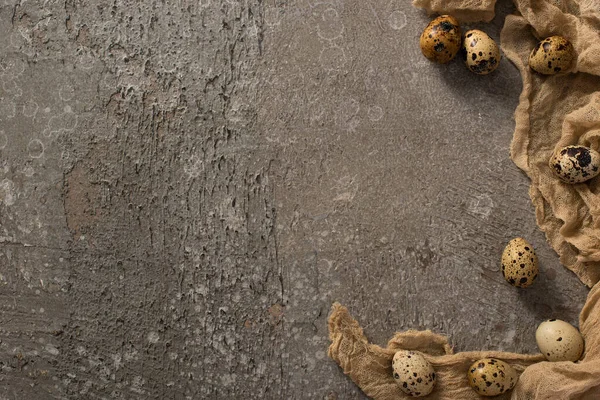 Top view of quail eggs on brown gauze on grey concrete background — Stock Photo