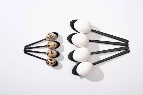 Top view of chicken and quail eggs on black spoons on white surface — Stock Photo