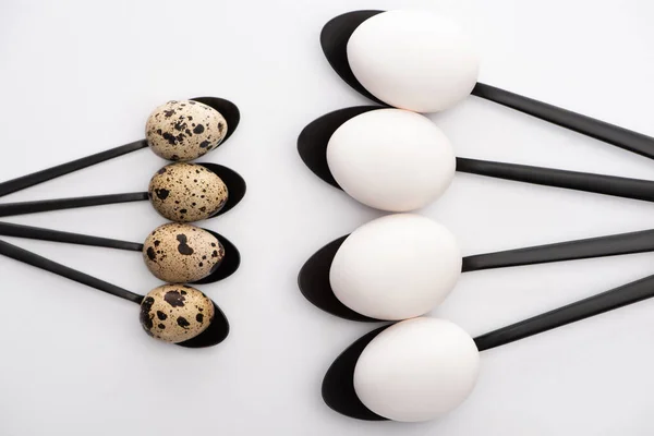 Top view of chicken and quail eggs on black spoons on white background — Stock Photo