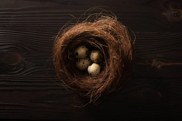 Верхний вид перепелиных яиц в гнезде на темном деревянном фоне — стоковое фото