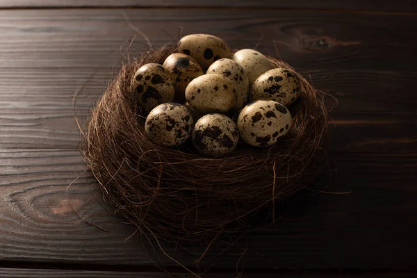 Huevos de codorniz en nido marrón sobre superficie de madera oscura - foto de stock