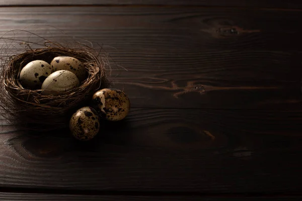 Quail eggs in brown nest and on dark wooden surface — Stock Photo