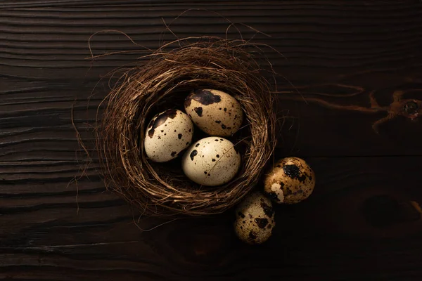 Top view of quail eggs in nest on dark wooden surface — Stock Photo