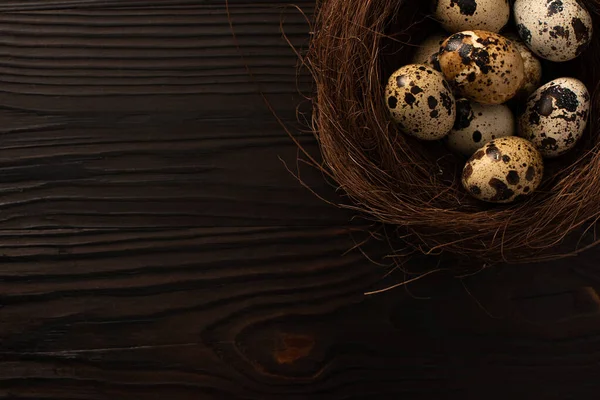 Vue de dessus des œufs de caille dans le nid brun sur fond de bois foncé — Photo de stock
