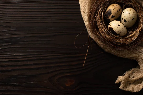 Top view of quail eggs in nest on brown gauze on dark wooden surface — Stock Photo