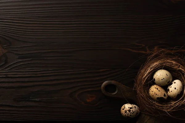 Vue du dessus des œufs de caille dans le nid brun sur la planche à découper sur une surface en bois sombre — Photo de stock