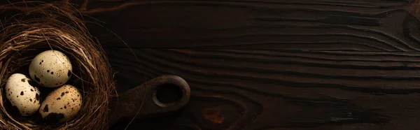 Colpo panoramico di uova di quaglia in nido marrone su tagliere su superficie di legno scuro — Foto stock