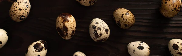 Colpo panoramico di uova di quaglia su una superficie di legno scuro — Foto stock
