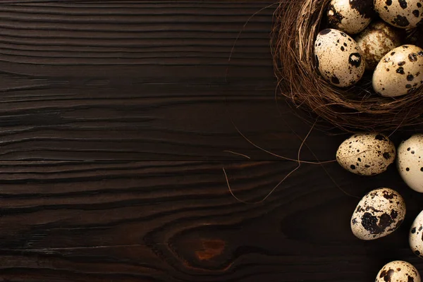 Top view of quail eggs in brown nest on and on dark wooden surface — Stock Photo