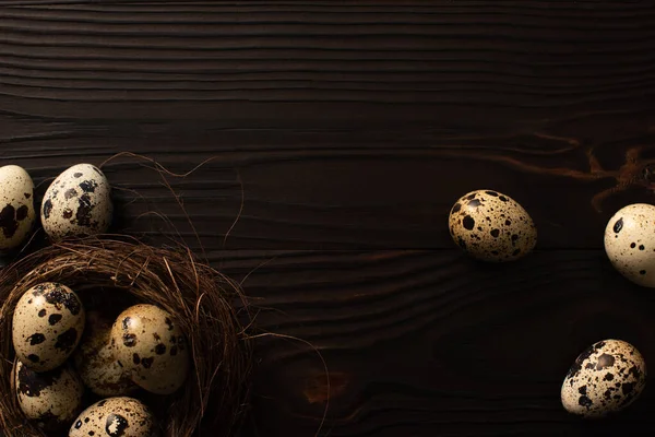 Верхний вид перепелиных яиц в гнезде и на темной деревянной поверхности — стоковое фото