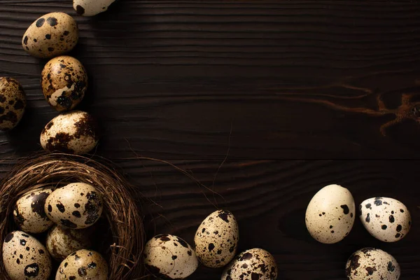 Верхний вид перепелиных яиц в гнезде и на темном деревянном фоне — стоковое фото