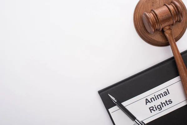 Top view of judge gavel and pen on black notebook with animal rights inscription on white background — Stock Photo