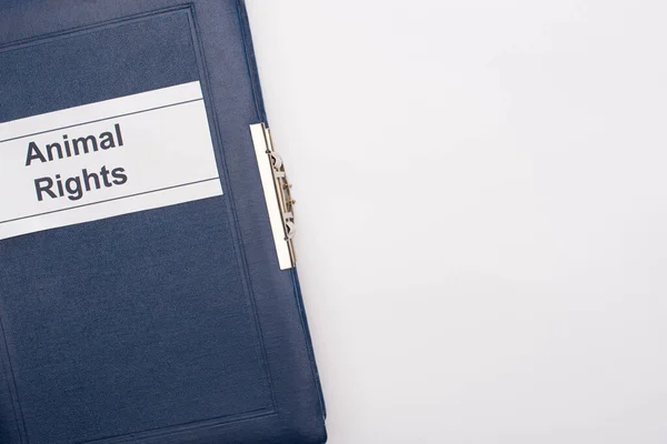 Top view of blue book with animal rights inscription on white background — Stock Photo