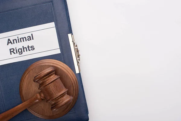 Top view of judge gavel on blue book with animal rights inscription on white background — Stock Photo