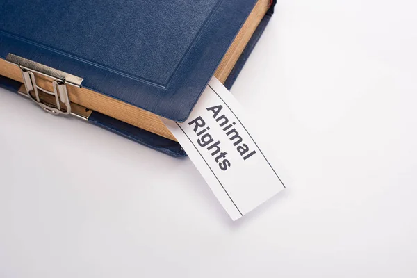 Vista de ángulo alto de la tarjeta blanca con inscripción de derechos de los animales en el libro azul sobre fondo blanco - foto de stock