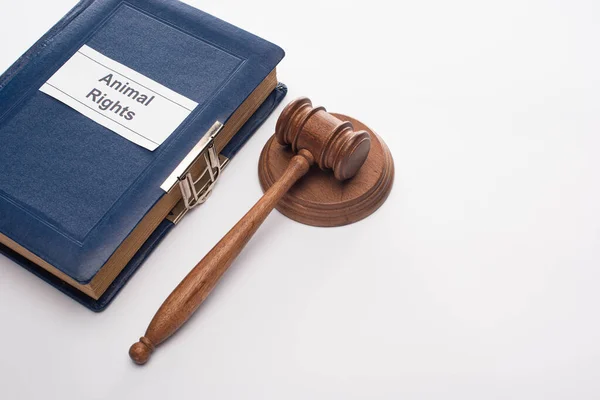 Vista de ángulo alto del martillo del juez y libro azul con inscripción de derechos de los animales sobre fondo blanco — Stock Photo