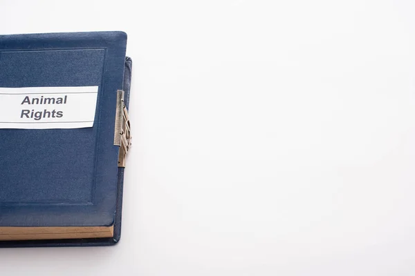 High angle view of blue book with animal rights inscription on white background — Stock Photo