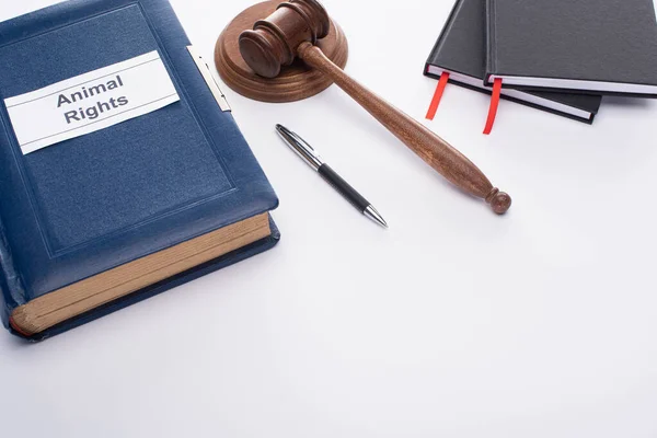 High angle view of judge gavel, blue book with animal rights inscription, pen and black notebooks on white background — Stock Photo