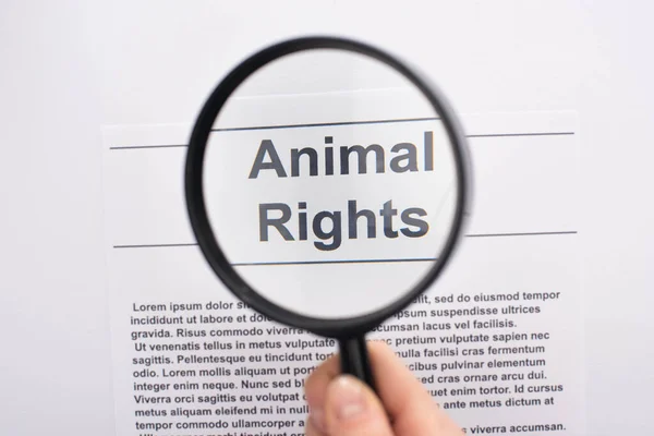 Partial view of woman holding magnifier on animal rights inscription on white background — Stock Photo