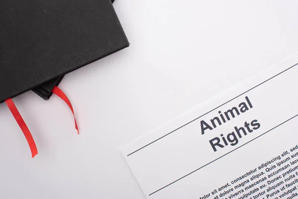 Top view of black notebooks and animal rights inscription on white background — Stock Photo