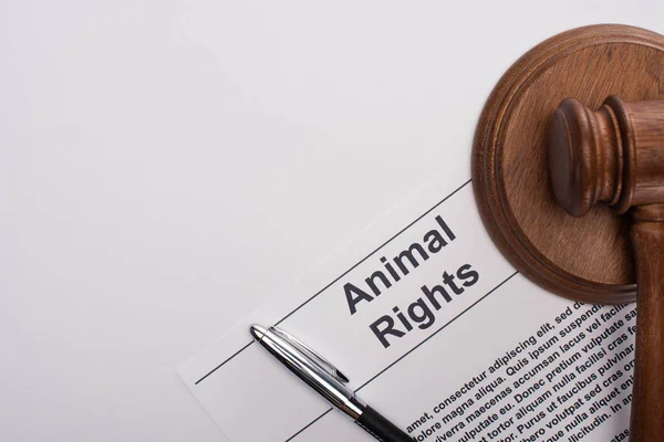 Vue du dessus de l'inscription des droits des animaux, du marteau du juge et du stylo sur fond blanc — Photo de stock