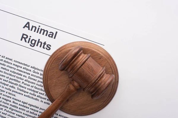 Top view of judge gavel on animal rights inscription on white background — Stock Photo