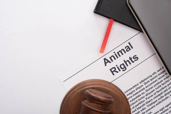 Vista superior da inscrição de direitos dos animais, cadernos pretos, smartphone e martelo juiz no fundo branco — Fotografia de Stock