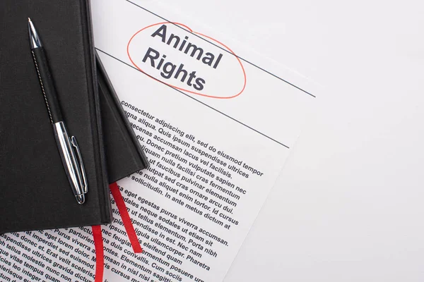 Top view of black notebooks and pen on animal rights inscription on white background — Stock Photo