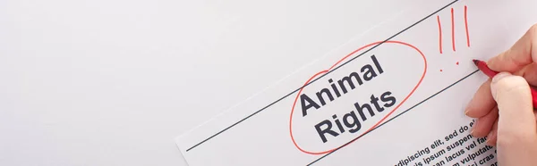 Panoramaaufnahme einer abgeschnittenen Frauenhand, die die Tierrechtsinschrift auf weißem Hintergrund hervorhebt — Stockfoto