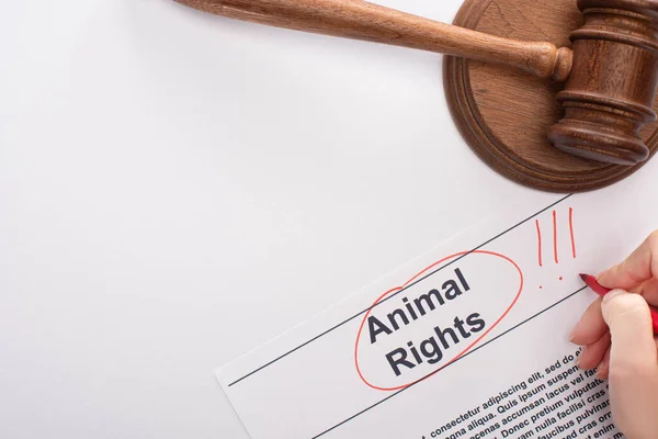 Partial view of woman highlighting animal rights inscription near judge gavel on white background — Stock Photo