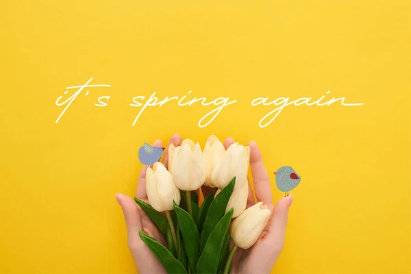 Vista recortada de la mujer sosteniendo tulipanes de primavera sobre fondo amarillo colorido con él es la primavera ilustración de nuevo - foto de stock