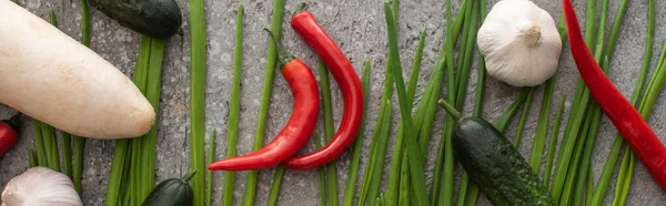 Panoramic shot of daikon radish, chili peppers, green onions, cucumbers and garlic on grey concrete background — Stock Photo