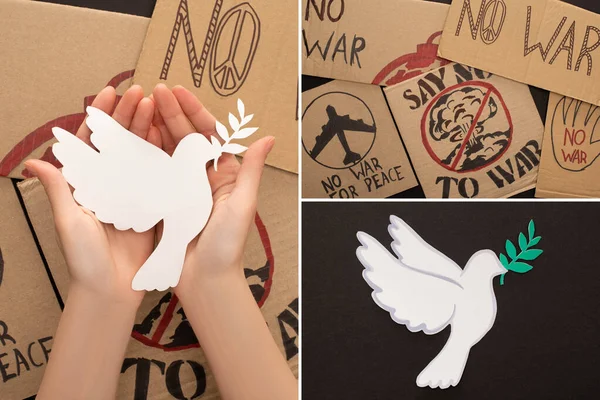 Collage of woman holding white dove above no war placards on black background — Stock Photo