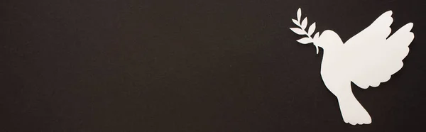 Draufsicht auf weiße papiergeschnittene Taube auf schwarzem Hintergrund, Panoramaaufnahme — Stockfoto