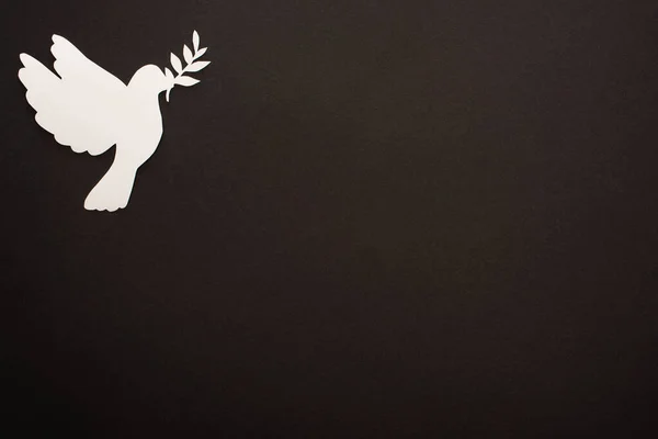 Top view of white paper cut dove on black background — Stock Photo