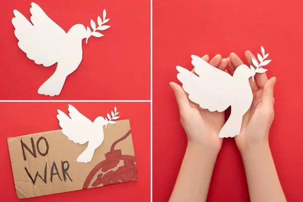 Collage of female hands, white paper dove and cardboard placard with no war lettering and bomb on red background — Stock Photo