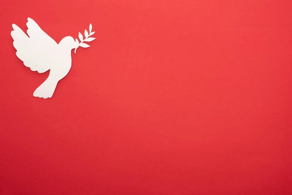 Top view of white dove as symbol of peace on red background — Stock Photo