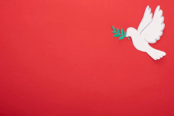 Top view of white dove as symbol of peace on red background — Stock Photo