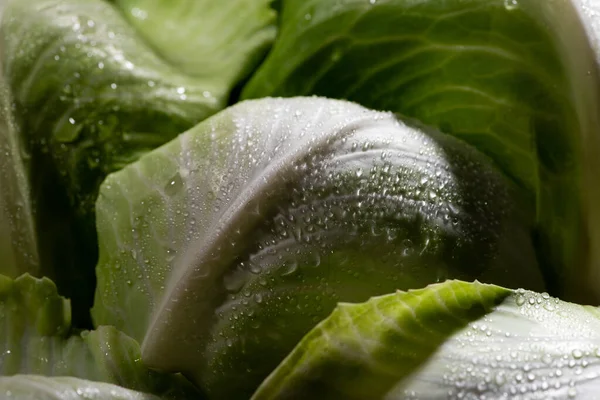 Vue rapprochée des feuilles de chou vert humide — Photo de stock