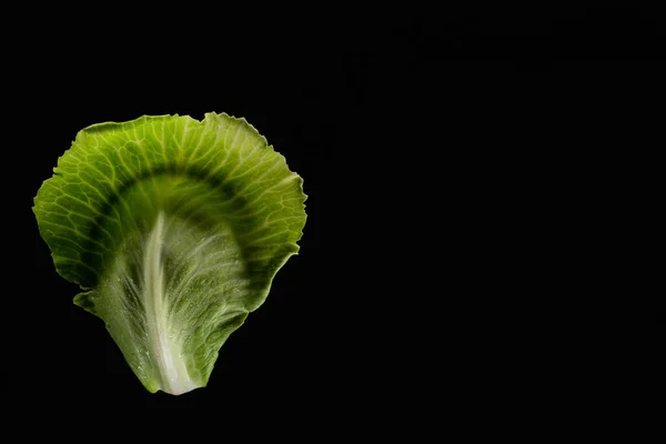 Вид зверху на вологі зелені листя капусти ізольовані на чорному — стокове фото