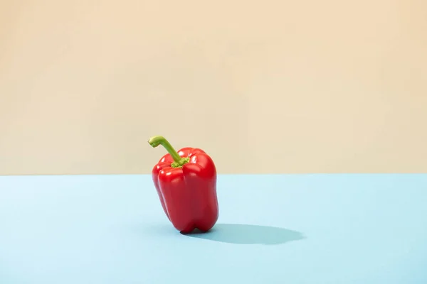 Fresh red bell pepper on blue surface isolated on beige — Stock Photo